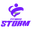 Fitness Storm logo